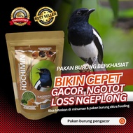 pakan burung spesial kacer poci dll tambah stamina rajin berkicau 250g