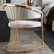 Tea Chair Stainless Steel Light Luxury Designer Chair Home Nordic Creative Dining Chair Simple Recep