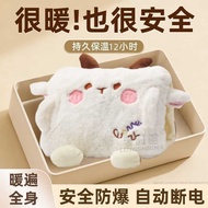 Hot Water Bottle Girl Warm Water Bottle Explosion-Proof Hand Warmer Baby Rechargeable Hot Water Bott