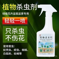 Bougainvillea Insecticide Flower Plant Universal Spray Indoor Dedicated Killing Hundred Insects Chinese Rose Flower Aphi
