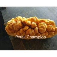 Pokok Cempedak Perak Champion