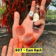 (Gy Trần) Son Tint Bi Lăn Son Tint Lì Tặng Kèm Cọ Môi