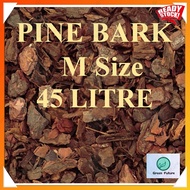 45  Litre M size PINE BARK/ Pine scale Orchid potting Pine Bark MURCH PINE BARK 松鳞松树皮 树皮 10kg 9-25mm