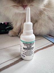 Ilium demotic cat dog ear mite 貓耳朵 耳蟎 真菌