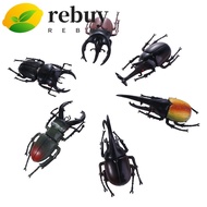 REBUY Simulation Beetle Science Toy Teaching Aids Insect Toy Simulation Animals Fake Beetle Joke Toy