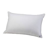 SNOWDOWN Microfibre King Pillow
