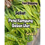 Petai Kampung Seikat/Petai Fresh/fast Delivery