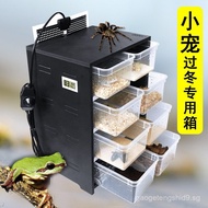Reptile Incubator Small Reptile Pet Breeding Box PVC Axolotl Turtle Scorpion Spider Gecko Heating Br