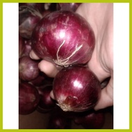 ✽ ╭ ✼ RED ONION/Sibuyas na Pula/Pulang Sibuyas250 grams,500grams,1 kilo Fresh Gulay (SHIP OUT AGAD)