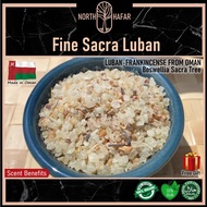 Luban Oman Fine Mix Sacra, Frankincense Olibanum Incense Damar Kemenyan Boswellia Sacra Resin (Aromatherapy)