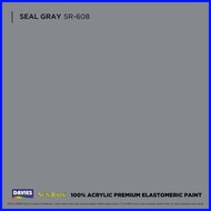 ◨ ▌ ◡ DAVIES Sun & Rain Color Pods Paint (250ml) Seal Gray