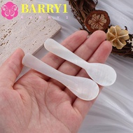 BARRY1 Teaspoon Ice Cream Conch Shell Stirring Tool