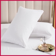 White Pillow ( vacuum packed ) 1pc 800G