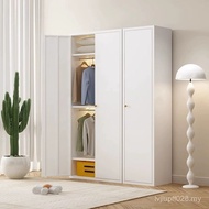 Baking e0 Paint Baking Steel Wardrobe Metal Dedicated Other Paint Multi-Layer Large Wardrobe Simple 
