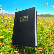 KJV 1611 COMPACT LARGE PRINT BIBLE HARDBOUND BLACK