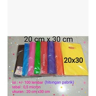 (contents 100) hd plong 20x30 / hd plong 20x30 plastic bag / hd plong plastic bag