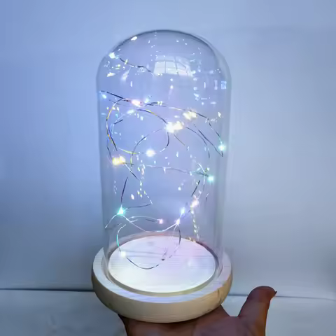 10*25cm Big Size Transparent Glass Dome Vase Home Decoration Flat Log Base Cover Friend Favor Gift W