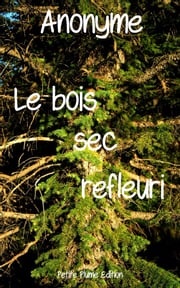 Le bois sec refleuri Anonyme