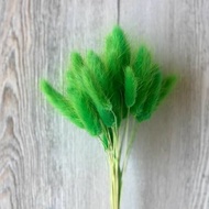 Bunga Lagurus Green/Bunga Bulu Tebu Hijau/Dried Flower Lagurus Green