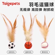Cat Fun Bouncy Sports Ball Cat Toy Ball Bouncy Ball Throwing Interactive Ball