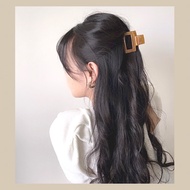 Korean Style Premium  Pudding Acyclic Hairclaw Brown