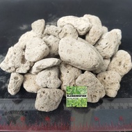 Pumice Stone Pumice Stone Bacteria House Media Aquarium Pond Filter Media