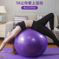 Fitness Ball Sport Yoga Balls Pilates Gym Exercise Workout Massage Ball Fit-Ball Workout Ball
