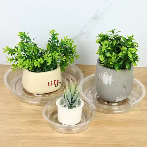 5pcs Clear Plastic Plant Saucers 6/8/12 Inch Plant Bonsai Flower Pot Drip Trays Reusable Garden Plan