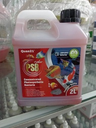 QUAS21 PSB PLUS CONCENTRATED PHOTOSYNTHETIC BACTERIA 2L