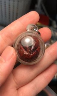 阿贊摩納 真品 桃花源