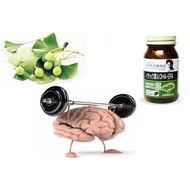 Dha EPA Ginkgo Noguchi - Brain supplement