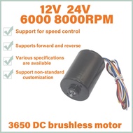 3650 DC brushless motor 12v 24V long life brushless motor, inductive motor positive and negative spe