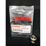 Thermostat Assy Xeon Termostat Xeon 5P0