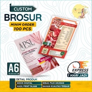 A6 Brochure Printing Full Color Flyer/