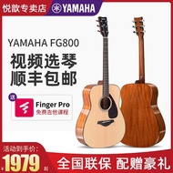 Yamaha Guitar FG800 Veneer Acoustic Acoustic Guitar Beginner FGX800C Electric Case Student Male Fema