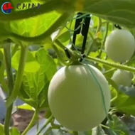 CHINK 30pcs Mesh melon hook, Mesh melon cantaloupe Hanging Hook, cantaloupe special hook Hooks for E