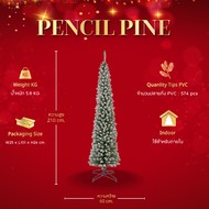 ต้นคริสต์มาส Pencil Pine - Christmas Tree | H 180/210/240 cm.