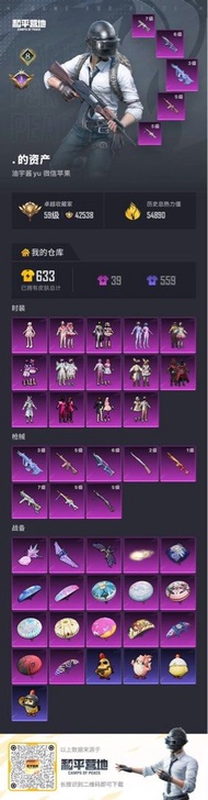 和平精英 PUBG 633皮膚 59級