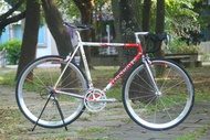 Colnago Master 車王經典鋼管車