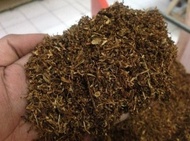 Populer Tembakau Sampoerna Mild Menthol Bako Tingwe 100 Gram Murah