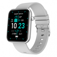 Others - Z15C智慧手錶1.69英寸全觸屏心率血壓血氧運動手環（銀灰色）
