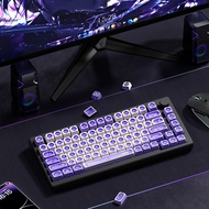XVX Keycaps Chrysoberyl 130 Keys PC+PBT MAX Profile Matte Translucent Wooting Aula F75 Rk100 Persona