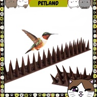 Big Spike Bird Repellent Spike for Bird and Cat Anti-Climbing Defender Spike Critters Deterrent for 