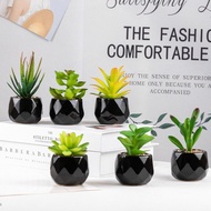 LIPUPON Artificial Plants, Aloe PVC Succulent, Gift Adenium Obesum Baolian Flower Small Potted Plant
