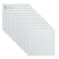 12 Sheets 10mil Mylar Sheet 12 X 12 Inch Milky Translucent PET Blank Stencil Making Sheet  (10mil)