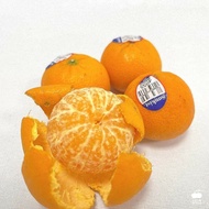 【舒果】小巧方便，酸酸甜甜 美國砂糖橘 (約4.5kg/箱)