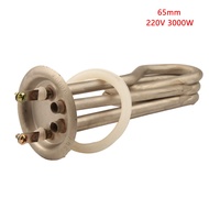 63mm cap high-quality boiler electric heat tube 8mm,3KW 220V heating element with 2 probes,stainless