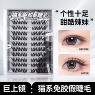 BQI Cat Series Glue Free Lashes Natural Pure Desire Single Cluster Self Adhesive