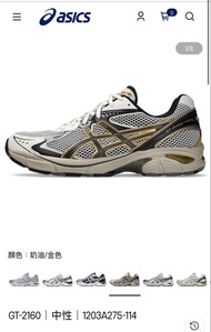 ASICS GT-2160