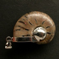 Ammonium pendant Full-Body Ammonite Shell Million-Year-Old Clam Can Be Carried With You. Increase Th